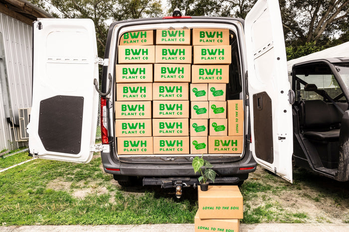 A delivery van with its back doors open, packed with BWH Plant Co. branded boxes