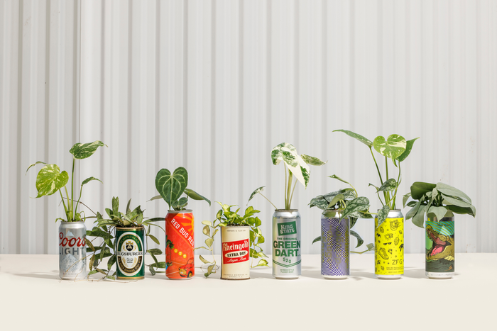 A row of potted plants displayed in upcycled beer cans with vibrant designs, against a white corrugated background.