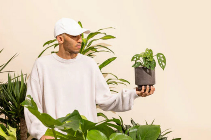 A man in a white sweater and cap holds a potted Monstera adansonii, surrounded by lush green plants.