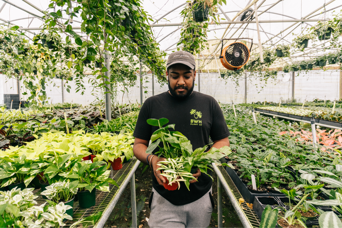 A person holds potted plants in a greenhouse filled with lush greenery and hanging vines.