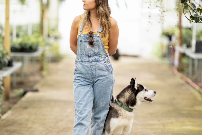 A person wearing denim overalls and a yellow tank top standing next to a Husky dog with a green collar in a greenhouse setting