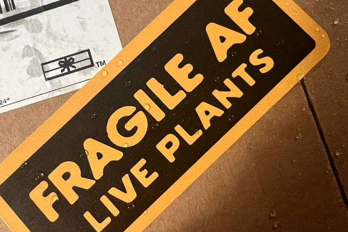 A black and yellow sticker on a box reads 