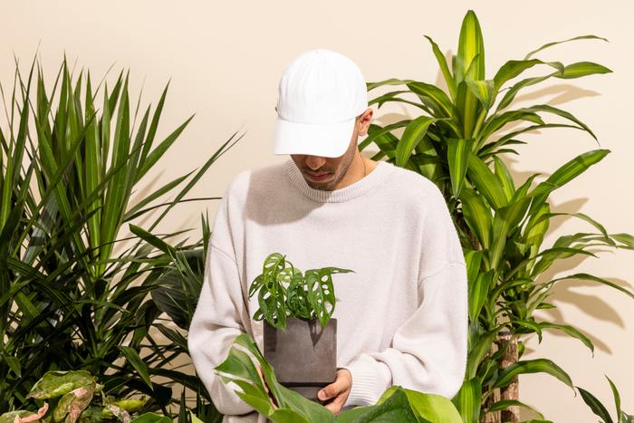 A person wearing a white cap and a beige sweater holds a small potted Monstera adansonii, surrounded by lush green plants.