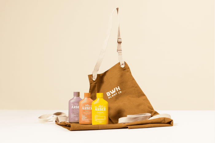 The Best Organic Products for Houseplant Health