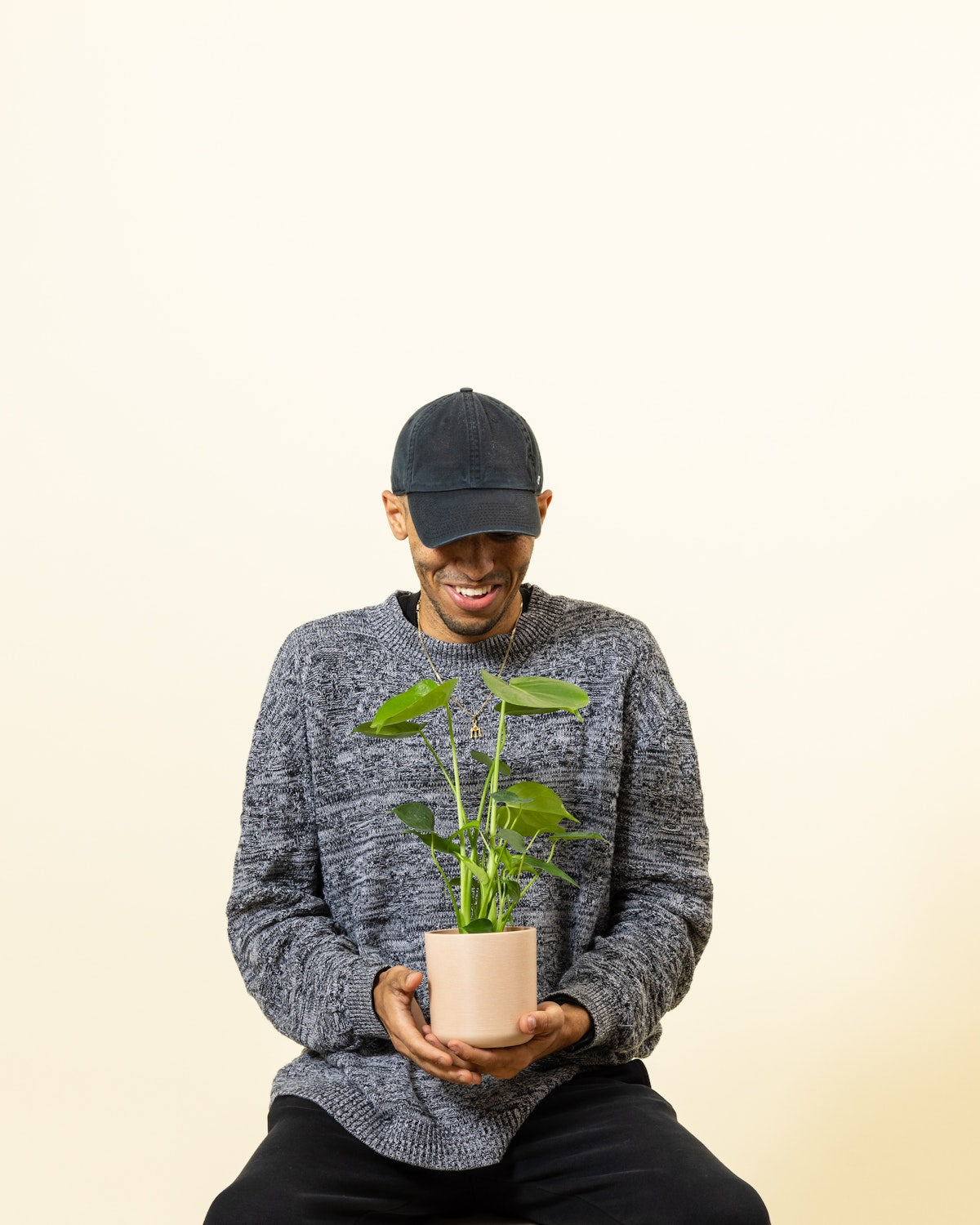 7 Weird Traits and Behaviors from Houseplants