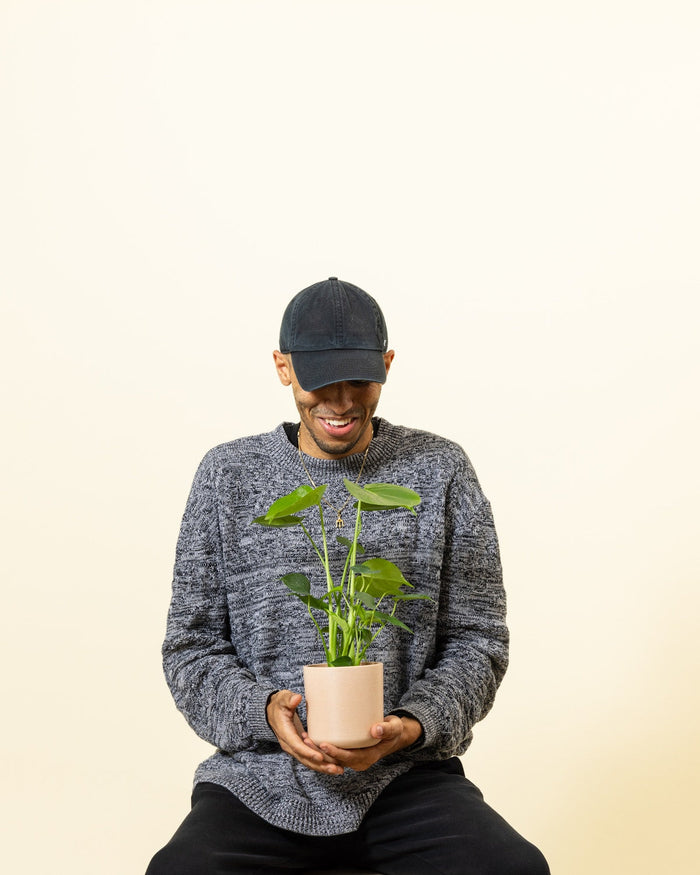 7 Weird Traits and Behaviors from Houseplants