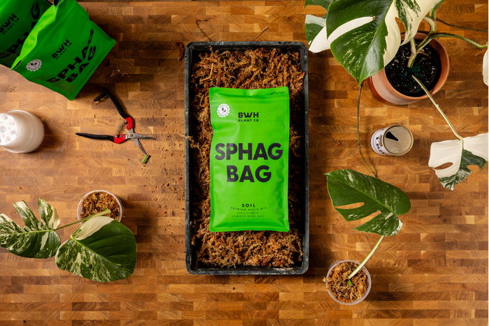 A flat-lay of a wooden workspace featuring a bright green bag labeled 