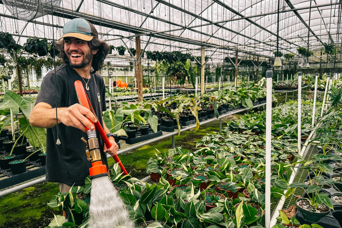A smiling person waters rows of potted plants in a greenhouse filled with lush greenery and hanging plants.