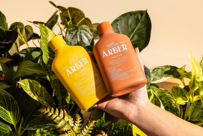 A hand holding two bottles of Arber products—yellow Bio Insecticide and orange Plant Food—against a backdrop of lush green foliage.