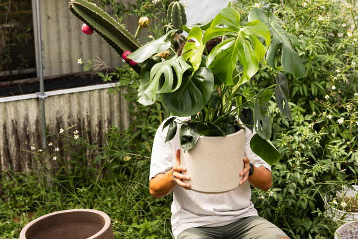 A person holds a Monstera plant in a beige pot, obscuring their face, surrounded by greenery and a cactus.