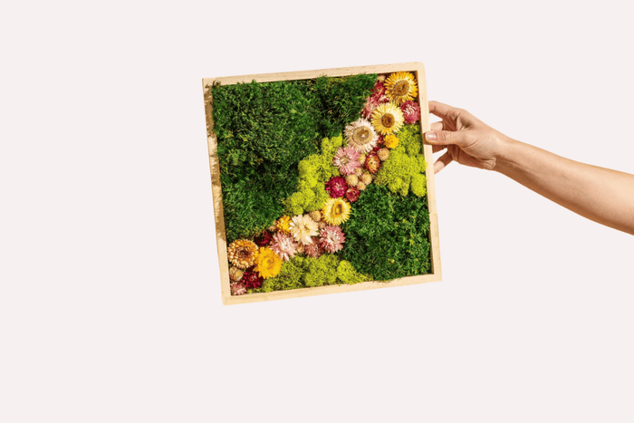 A hand holding a wooden frame filled with preserved moss and colorful dried flowers, arranged in a vibrant pattern. The frame is displayed on a wooden table.