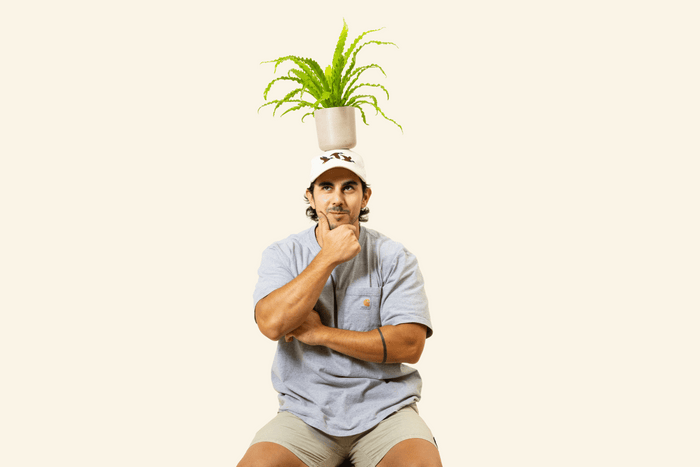 a man with a plant on his head thinking 