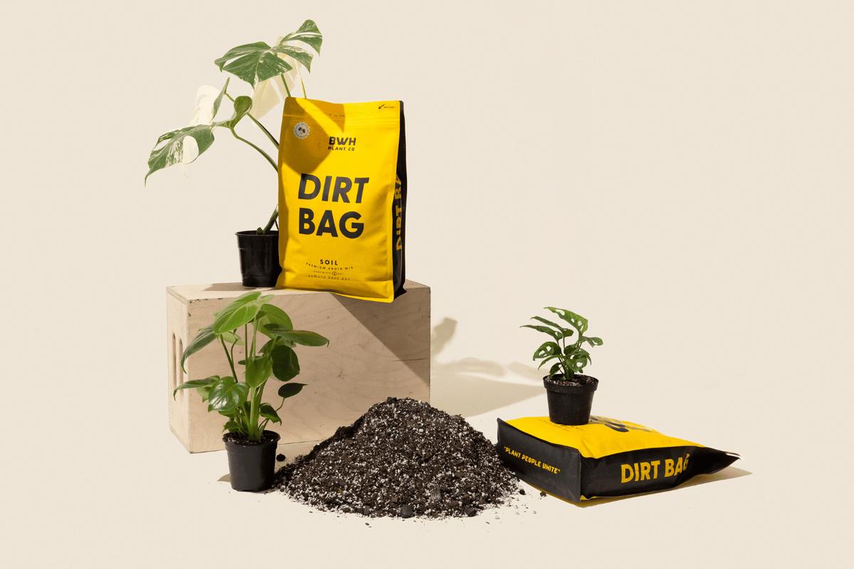 plants with potting mix