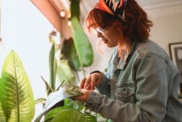 watering can over plants