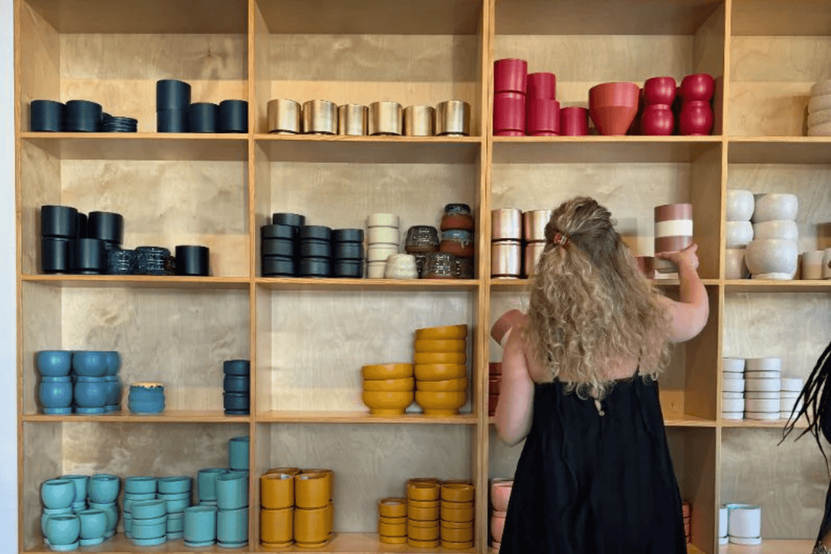 How to Choose the Right Pot for Your Houseplant