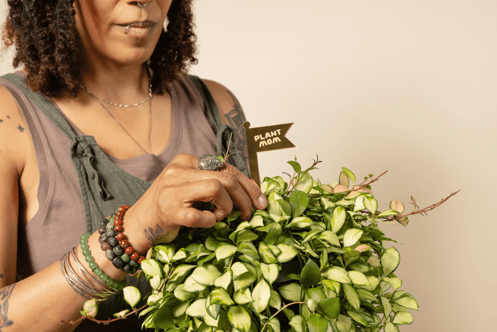 A woman holding a plant and 
