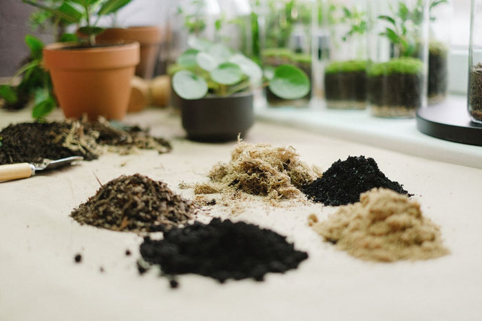 small piles on white table of soil amendments such as moss and charcoal