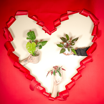 gifts for plant lovers