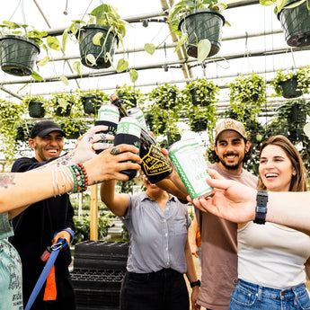 Anniversary Sale Plants