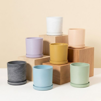 Plant Pots & Supports