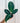 A hand holding a potted Calathea 'Jungle Velvet' plant with dark green leaves and hints of purple underneath, against a metal background.