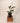 4" Spathiphyllum 'Flower Bunch'