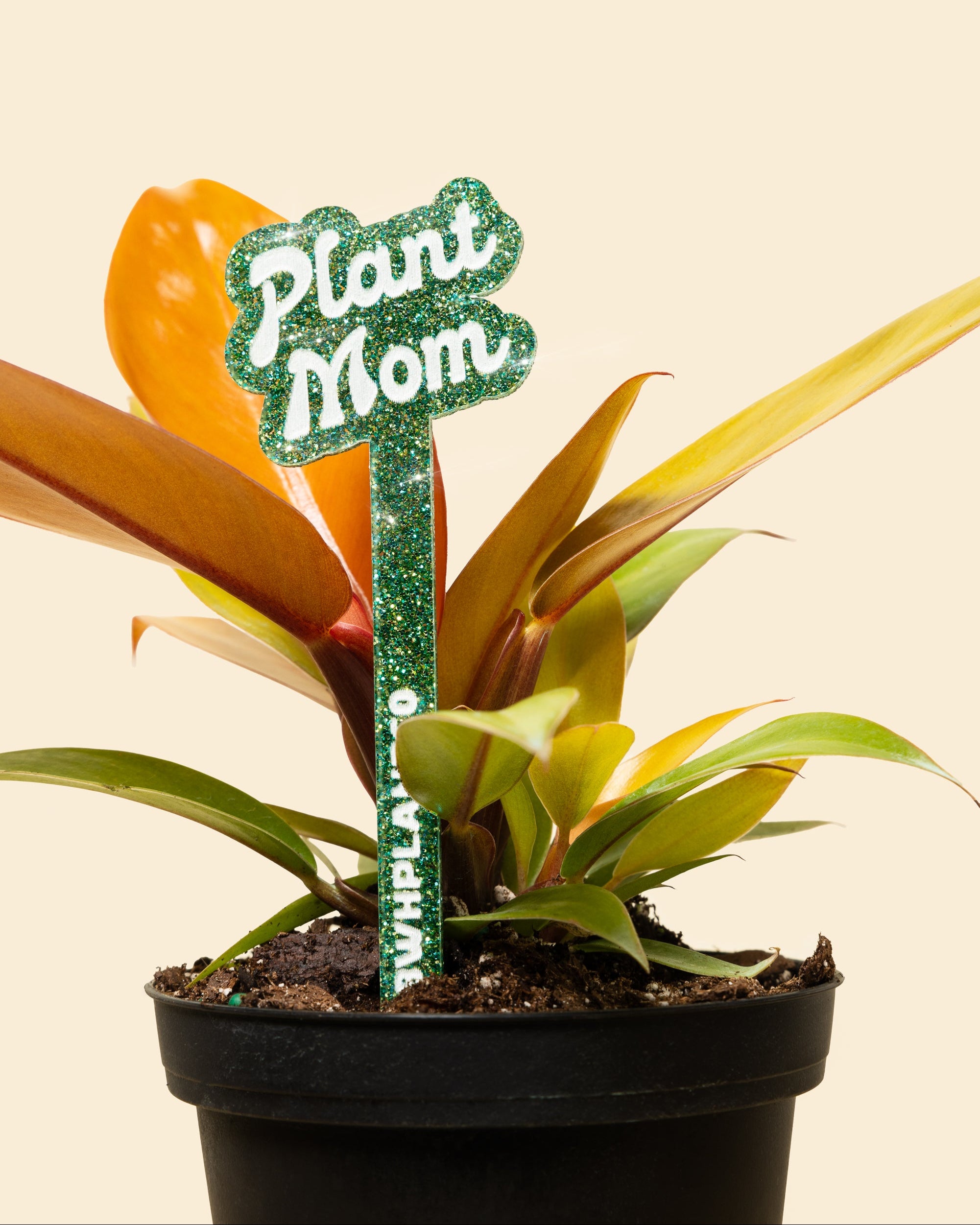 bwh plants Plantagram - Sending Love