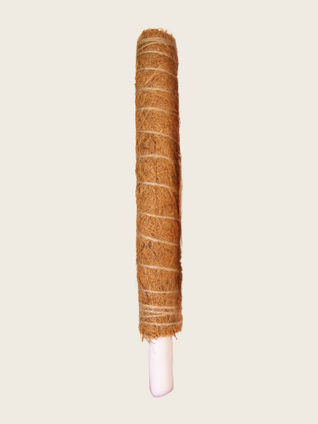 moss pole or coco pole Coco Pole – BWH Plant Co