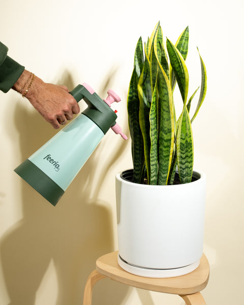 Colorpop Garden Sprayer - 1.5L – BWH Plant Co