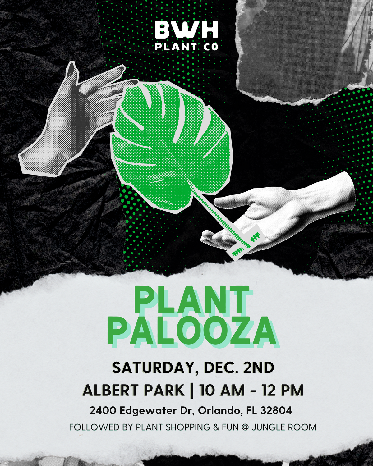 Plant Palooza | Plant Swap December 2nd 10am -12pm