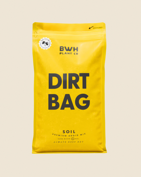 big value potting mix Dirt Bag: 1 Gallon – BWH Plant Co