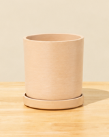 Washed Terracotta