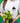 Green Thumb Club Tee