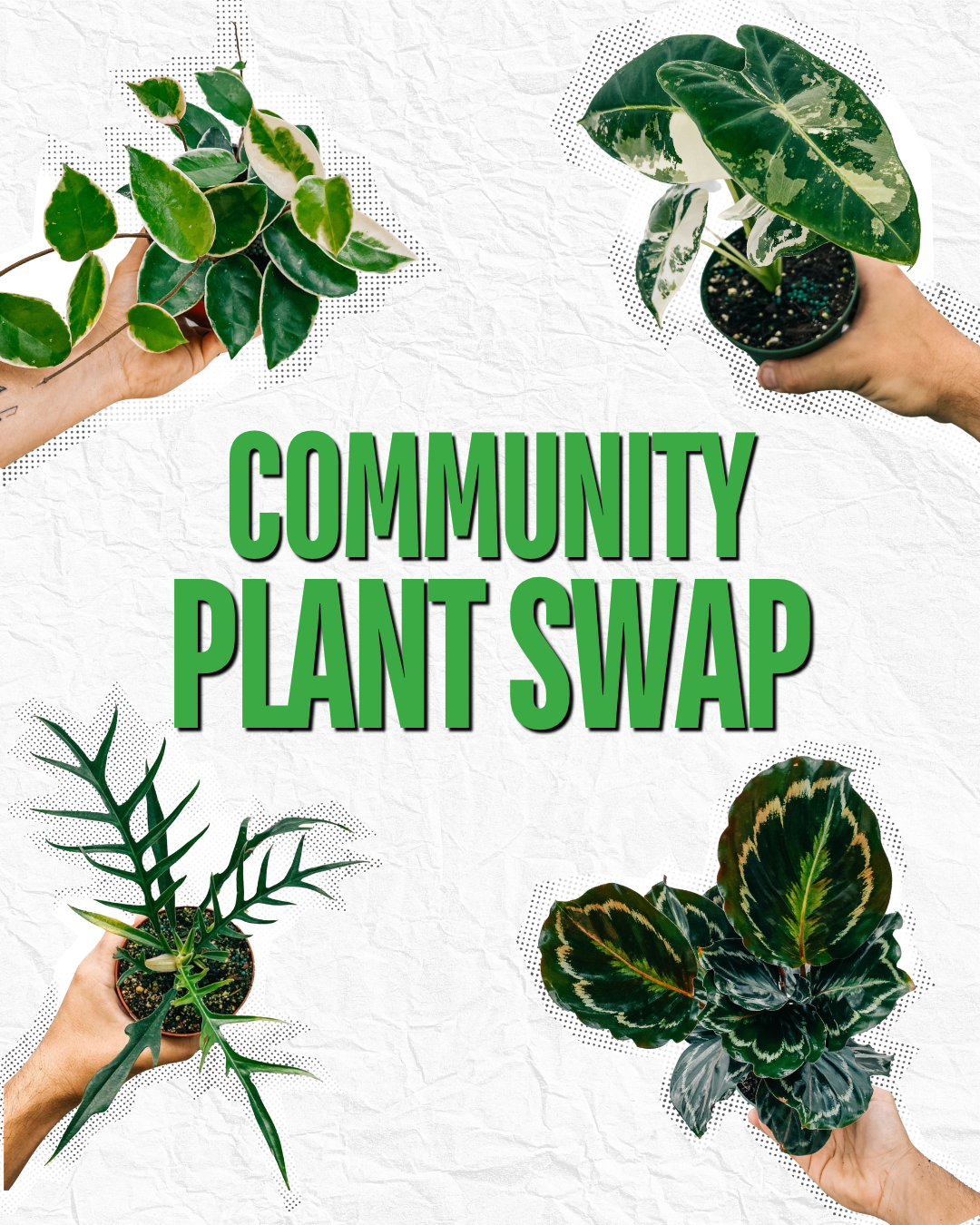 Community Plant Swap – BWH Plant Co