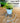 Macrame Plant Hanger Workshop