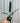 4" Alocasia Lauterbachiana 'Purple Sword'