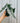 6" Alocasia 'Heterophylla Dragon's Breath'
