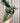 6" Alocasia 'Platinum'