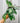 4.5" Hoya Pubicalyx Splash  (hanging basket)