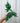 4" Alocasia 'Brancifolia'