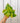 4" Philodendron ‘Cordatum Lemon'