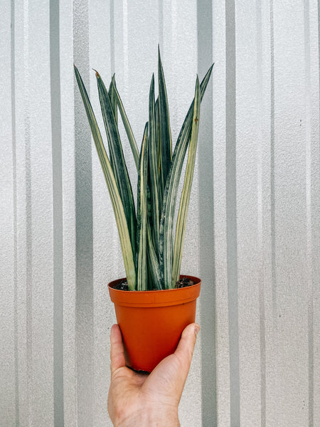 image_90733913-0741-4e43-a401-